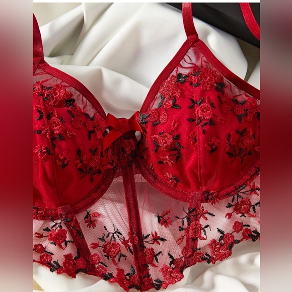 NEW Baddie Floral Embroidered Coquette Sexy Red Lace Lingerie Summer Set - Picture 4 of 5